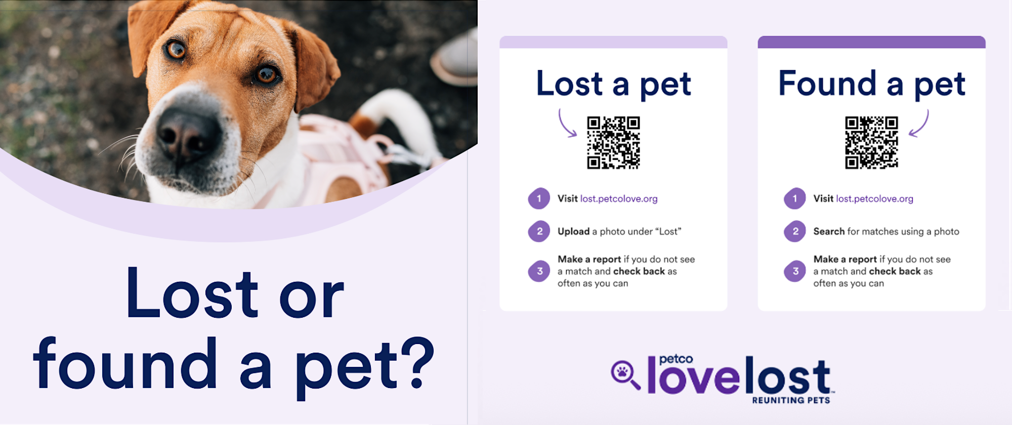 PetCo Love Lost